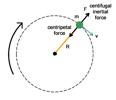 Centripetal and Centrifugal Forces | Physical Cycling